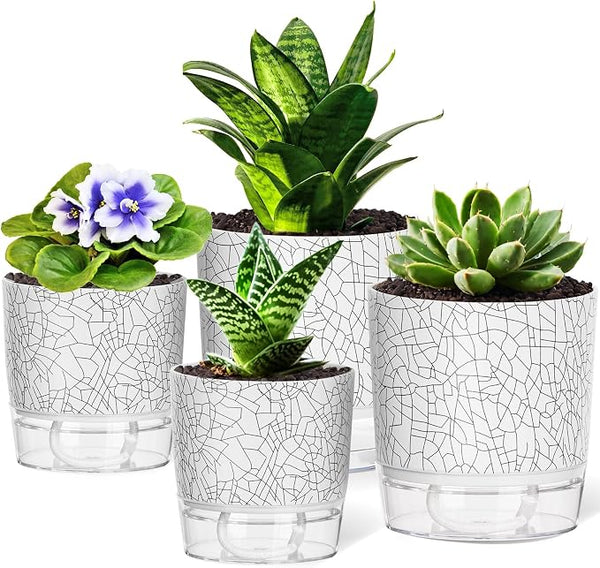 Gardening & Lawn Care