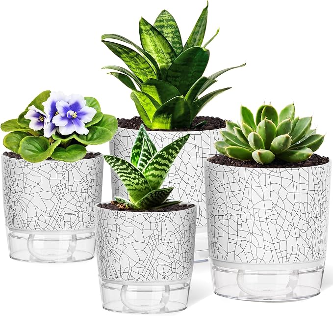 Gardening & Lawn Care