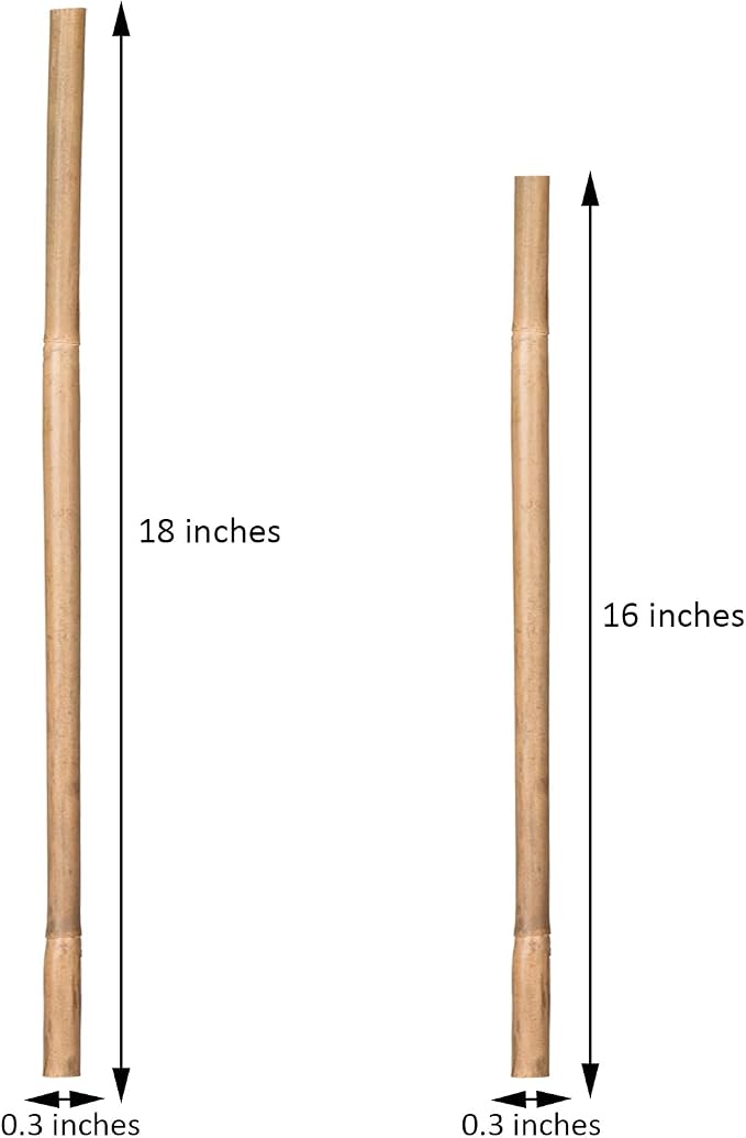 Plant Stakes Natural Garden Bamboo Sticks - Image 2