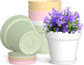 4 Inch Plastic Plant Pots with Drainage Holes and Trays – 8 Pack Small Nursery by WSMKSZ