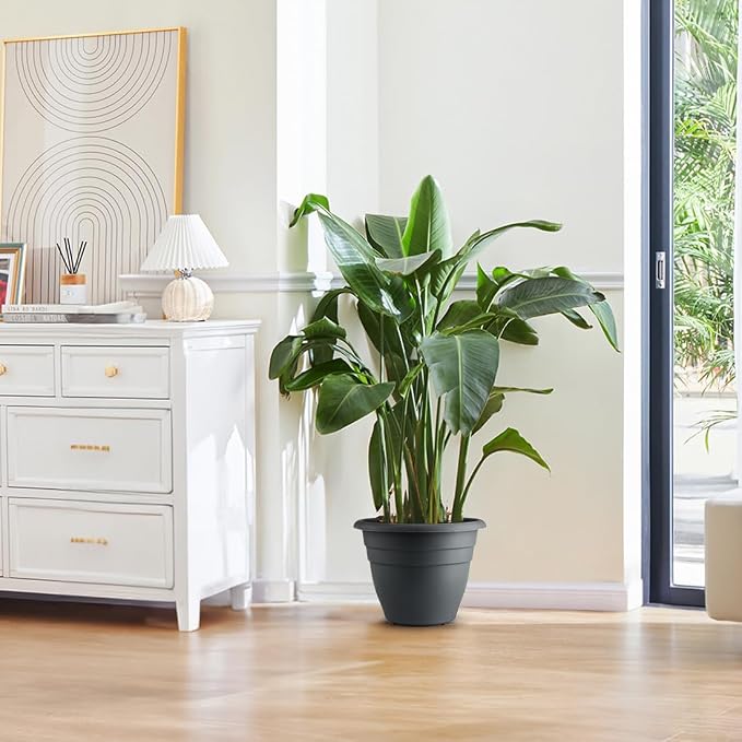 12 Inch Plant Pots, Large Planters - Image 6