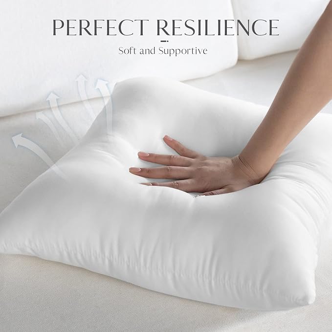 Ashler 16 x 16 Outdoor Pillow Inserts, Indoor Outdoor Decorative - Image 5