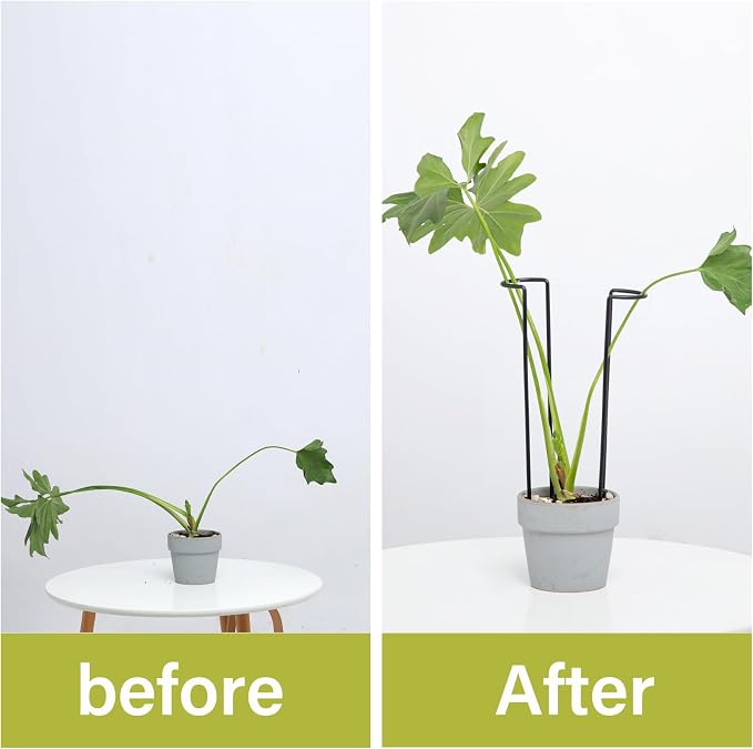 10-Pack Monstera Plant Support - Image 3