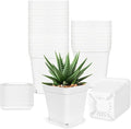 Anyumocz 24Pcs 3" Square Plastic Plant Pots, Seedling Nursery Transplanting by Anyumocz