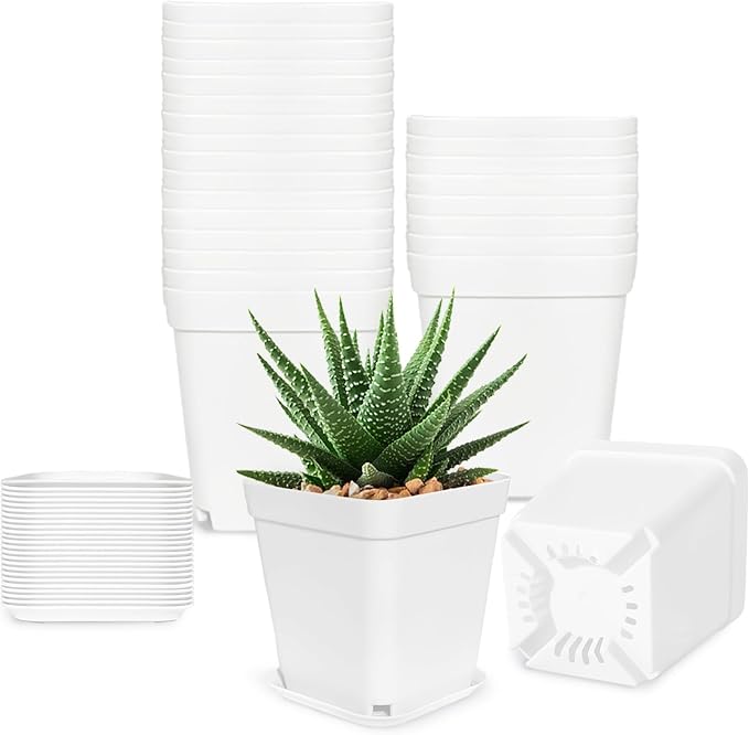 Anyumocz 24Pcs 3" Square Plastic Plant Pots, Seedling Nursery Transplanting by Anyumocz