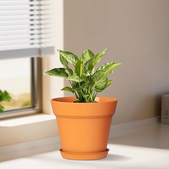 6 Inch Thick Plastic Plant Pots - Image 2