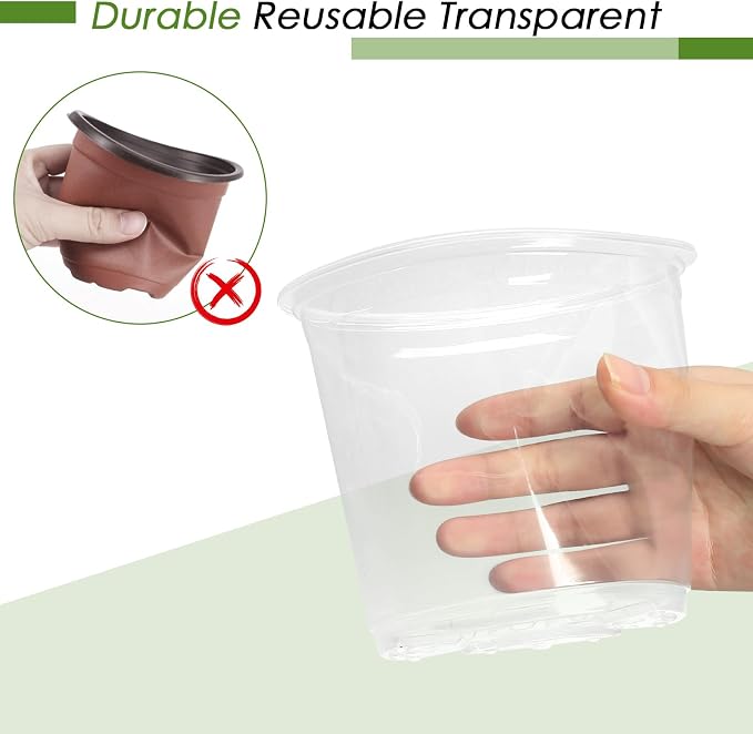 4 Inch Clear Nursery Pots for Plants - Image 5