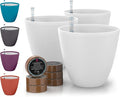GARDENIX DECOR Self Watering Pots by Unknown