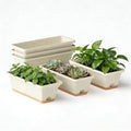 Window Box Planter, 6 Pack Plastic Vegetable Flower Window Planters Boxes 16 by LesOasis