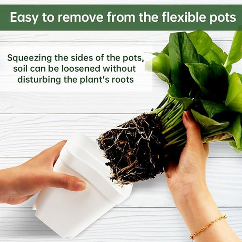 120 Pcs Nursery Pots 3.5 Inch, Plastic Seed Starting Pot - Image 2
