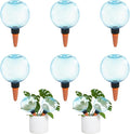 6pcs Large Plant Self Watering Globes, 17.5 oz Plastic Water Bulbs Top Fill by GEWOSI