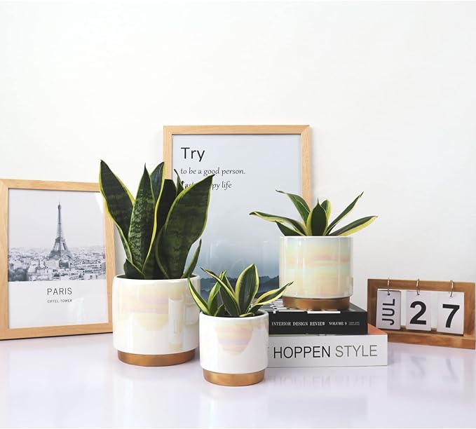 Gepege White Indoor Pots for Plants, Ceramic Planter - Image 4