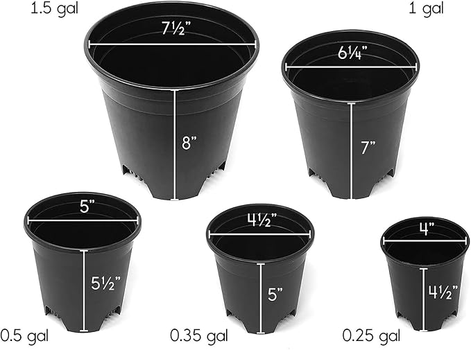 Wholesale Bulk Nursery Pot 4 Inch Black Plastic Planters 30-Pack 0.25 Gallon - Image 4