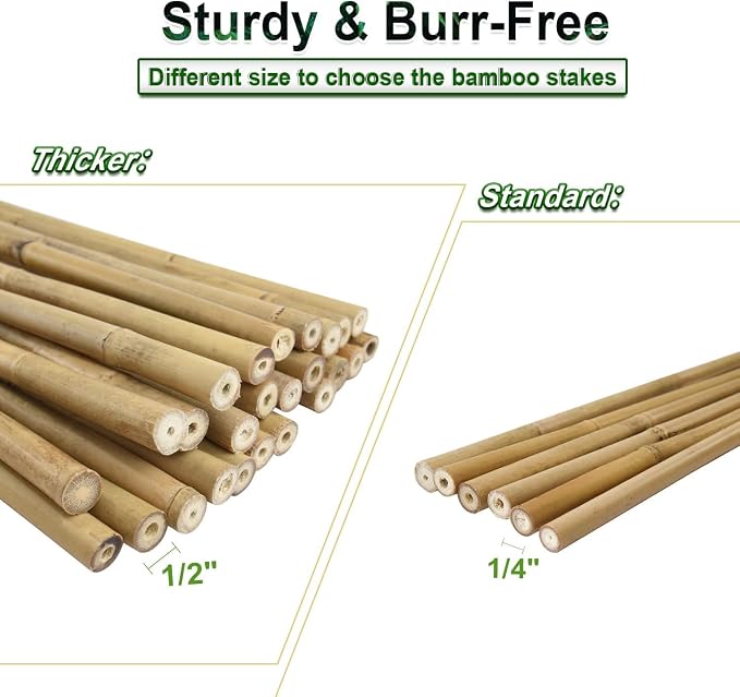 25pcs 1/2" D Thicker Heavy Duty Bamboo Stakes, 4.75FT Plant Stakes, Natural - Image 5