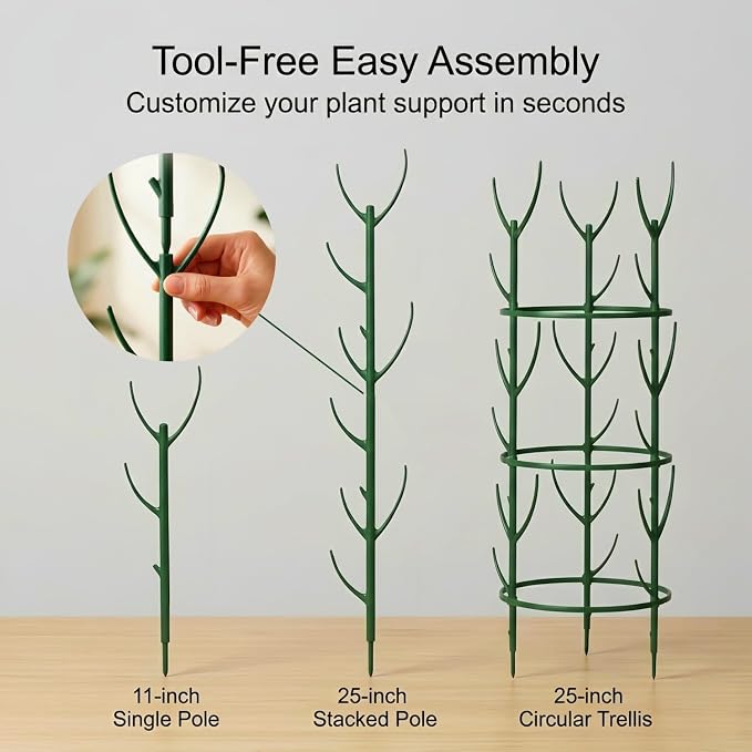 20-Pack Monstera Plant Support Stakes - Image 6