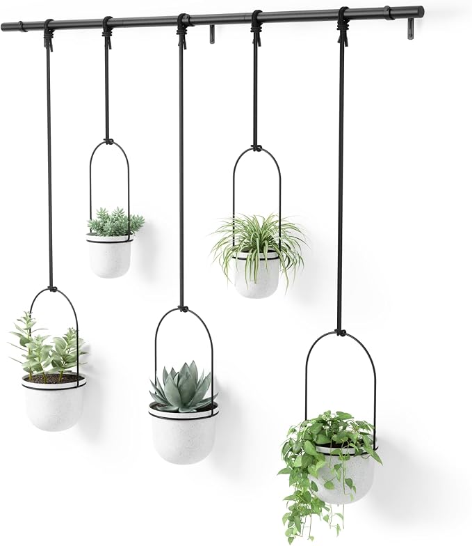 Umbra Triflora Hanging Planter for Window, Indoor Herb Garden by Umbra