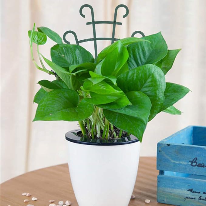 Indoor Small Trellis - Image 2