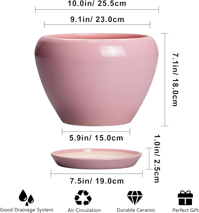 10 Inch Plant Pot - Image 3