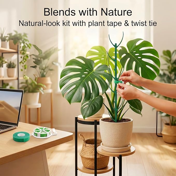 20-Pack Monstera Plant Support Stakes - Image 5
