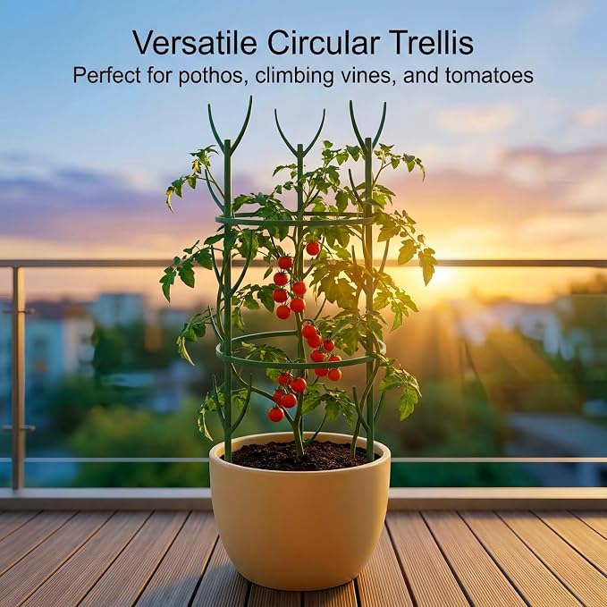 30-Pack Monstera Plant Support Stakes - Image 2