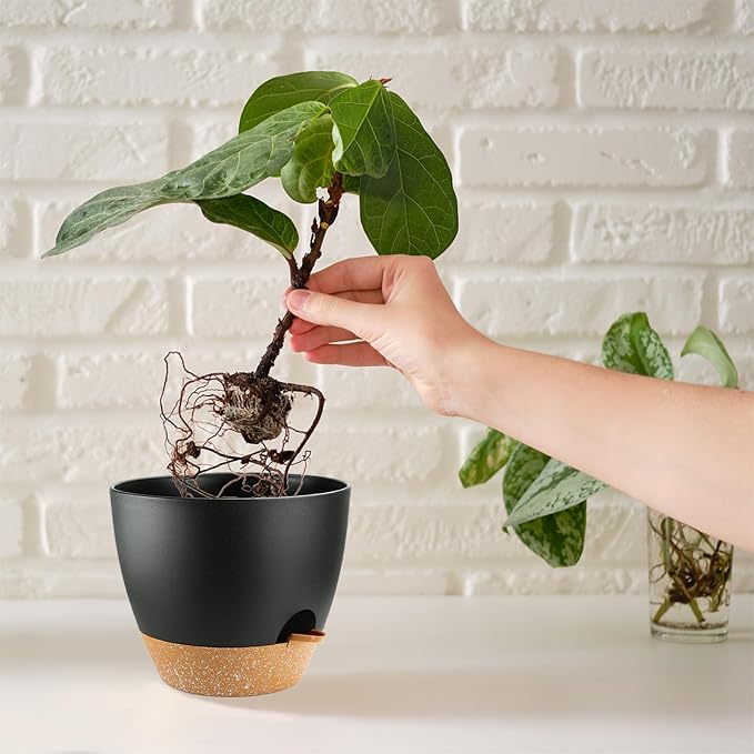 Indoor Pots For Plant Self Watering Plant Pots For Lazy People, - Image 6
