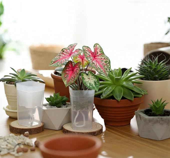 LemonRoad 20 Pack 2" Small Self Watering Pots - Image 6