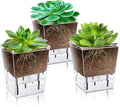 Self Watering Pots Set, 3 Pack 2.7 Inch Pots by IWNTWY