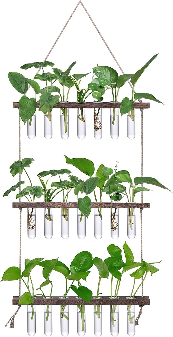 XXXFLOWER Wall Hanging Propagation Station by XXXFLOWER