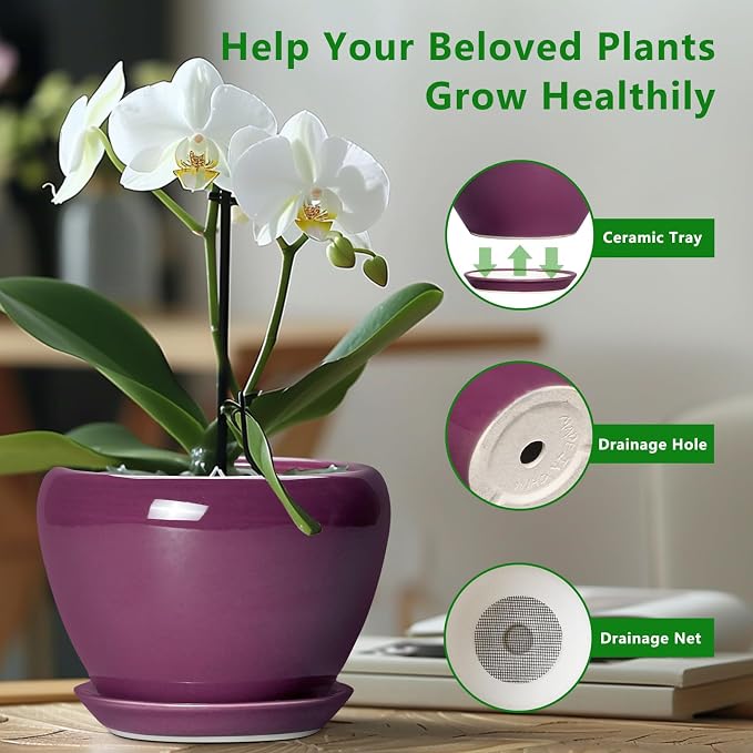 Ceramic Pots for Plants 6 Inch - Image 4
