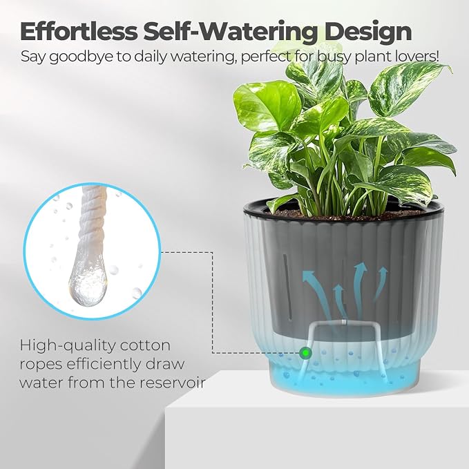 T4U 4 Inch Plant Pots Self Watering, 6 Pack African Violet Pots, Small Plant - Image 3
