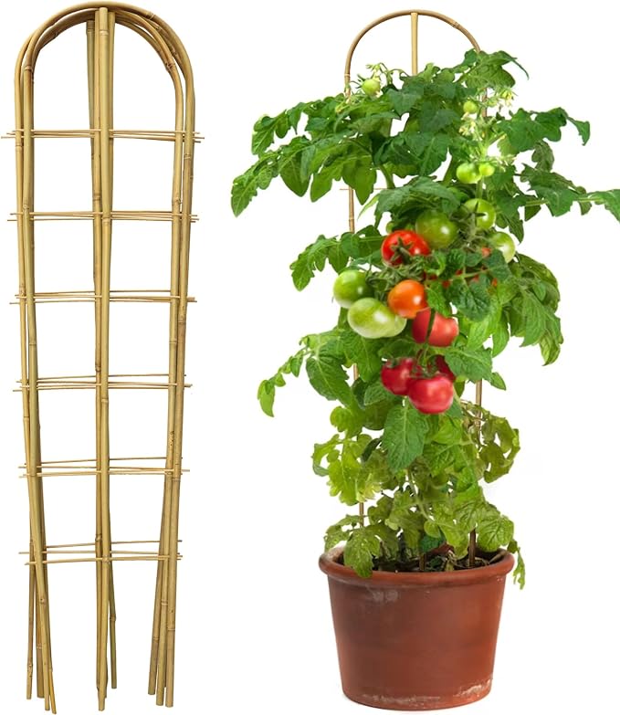 5 Pack 4 Feet U-Shape Bamboo Trellis, Natural Bamboo Trellis by Taoskai