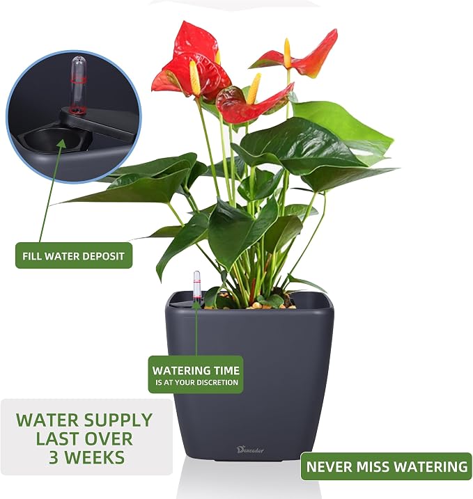 Dexceder 9x8 Self Watering Planter Indoor Outdoor, Inner Mat Design, Thickened - Image 5