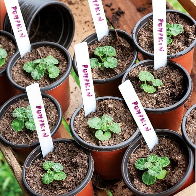 Plant Nursery Pot/Pots 100 Pcs 6" Plastic Small Plants Pots Flower Pots Seed - Image 8
