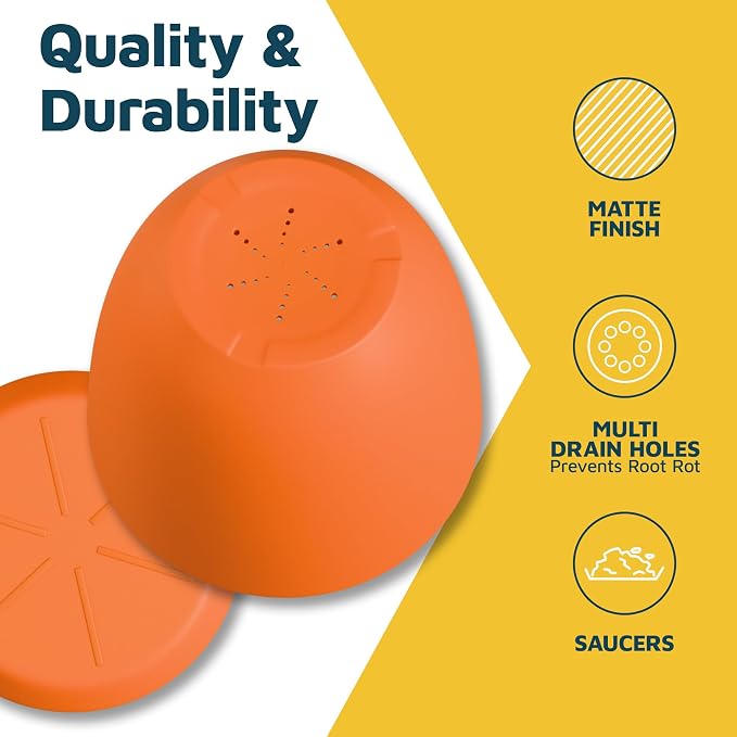 Yellow Plant Pots with Drainage Holes & Saucers 15 Pack, Indoor & Outdoor - Image 7
