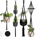 Nook Theory 4-Pack Macrame Plant Hangers by NookTheory