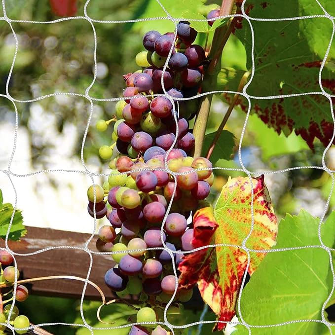 Tcamp Heavy-Duty Polyester Garden Trellis Net Plant Support Netting by Tcamp