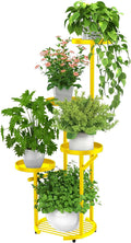 TOSKING 5 Tier Metal Plant Stand Indoor， Plant Shelf, Corner Shelf Flower Pot by TOSKINGESSENCE
