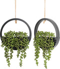 Floweroyal 2pcs Artificial Succulents Hanging Plants 12.2'' Fake String of by FloweroyalCrafts