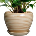 6 Inch Plant Pot Ceramic by Ceramicfor