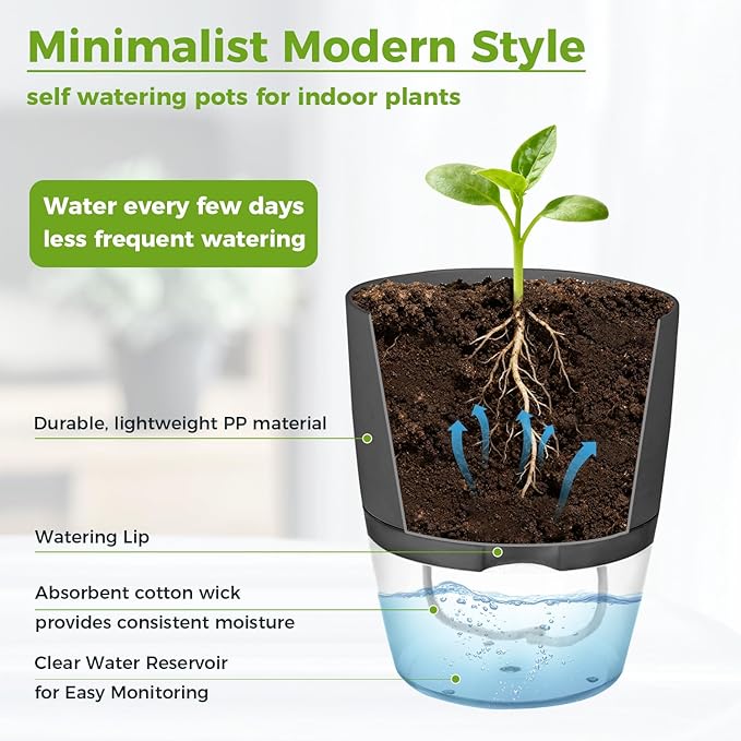 Planterhoma 6 Pack Self Watering Pots - Image 6