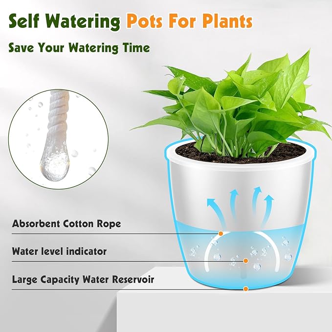 Self-Watering Pots for Indoor Plants, Small African Violet Pots - Image 6