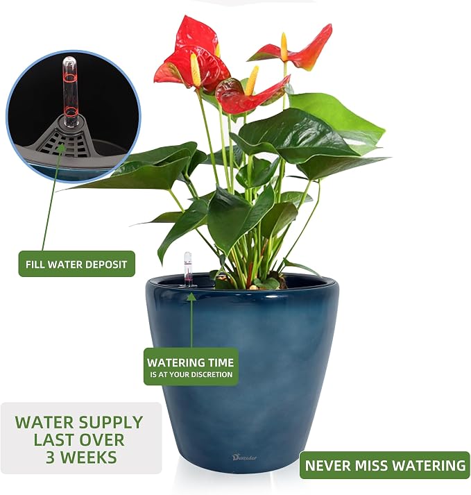 Dexceder 13x12 Self Watering Planter - Image 5