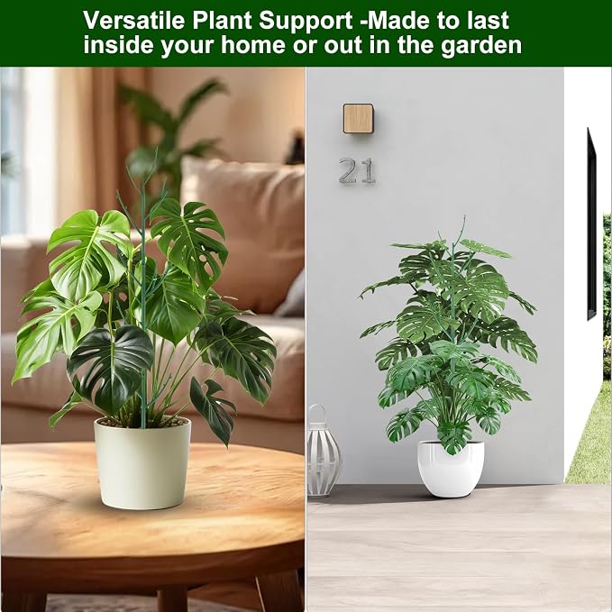 5 Pack Stackable Monstera Plant Support Stakes - Image 6