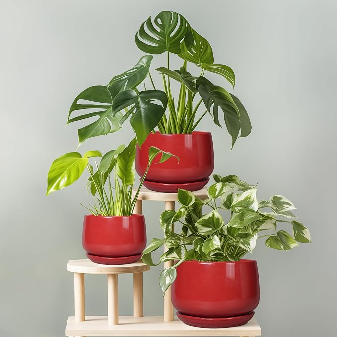 G EPGardening Ceramic Plant Pots - Image 7
