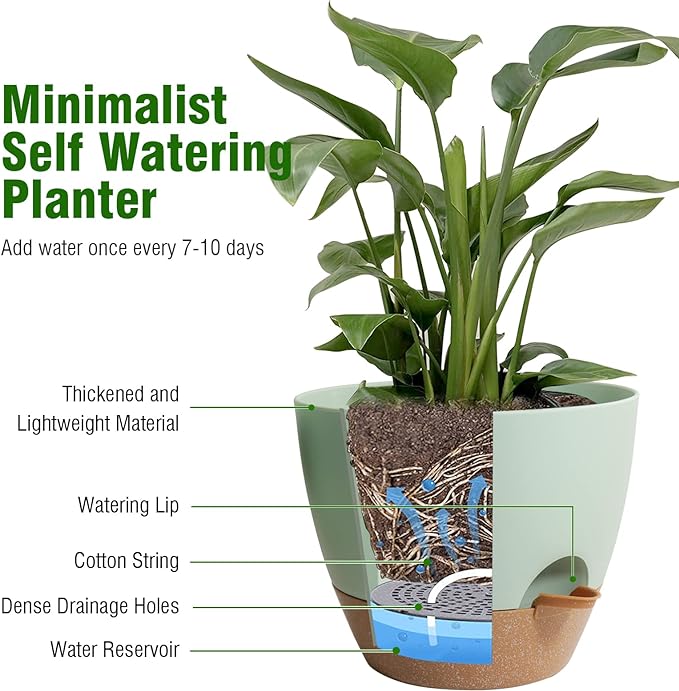8 inch Self Watering Pots, 2 Pack Plastic Planters - Image 5