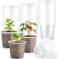 200 Pack 4 Inch Clear Plant pots by RooTrimmer