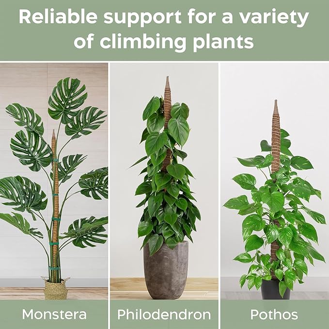 2 Pack 48'' Bendable Moss Pole Monstera Plant Support - Image 6