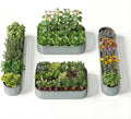 4-Pack 18” Tall Galvanized Raised Garden Beds – Small Space Garden Layout by Annoell