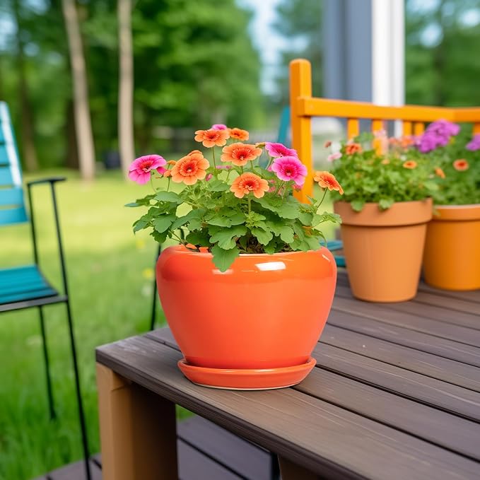 Ceramic Plant Pot 6 Inch - Image 4