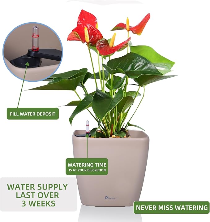 Dexceder 9x8 Self Watering Planter Indoor Outdoor, Inner Mat Design, Thickened - Image 5